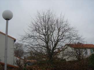 dsc06336.jpg